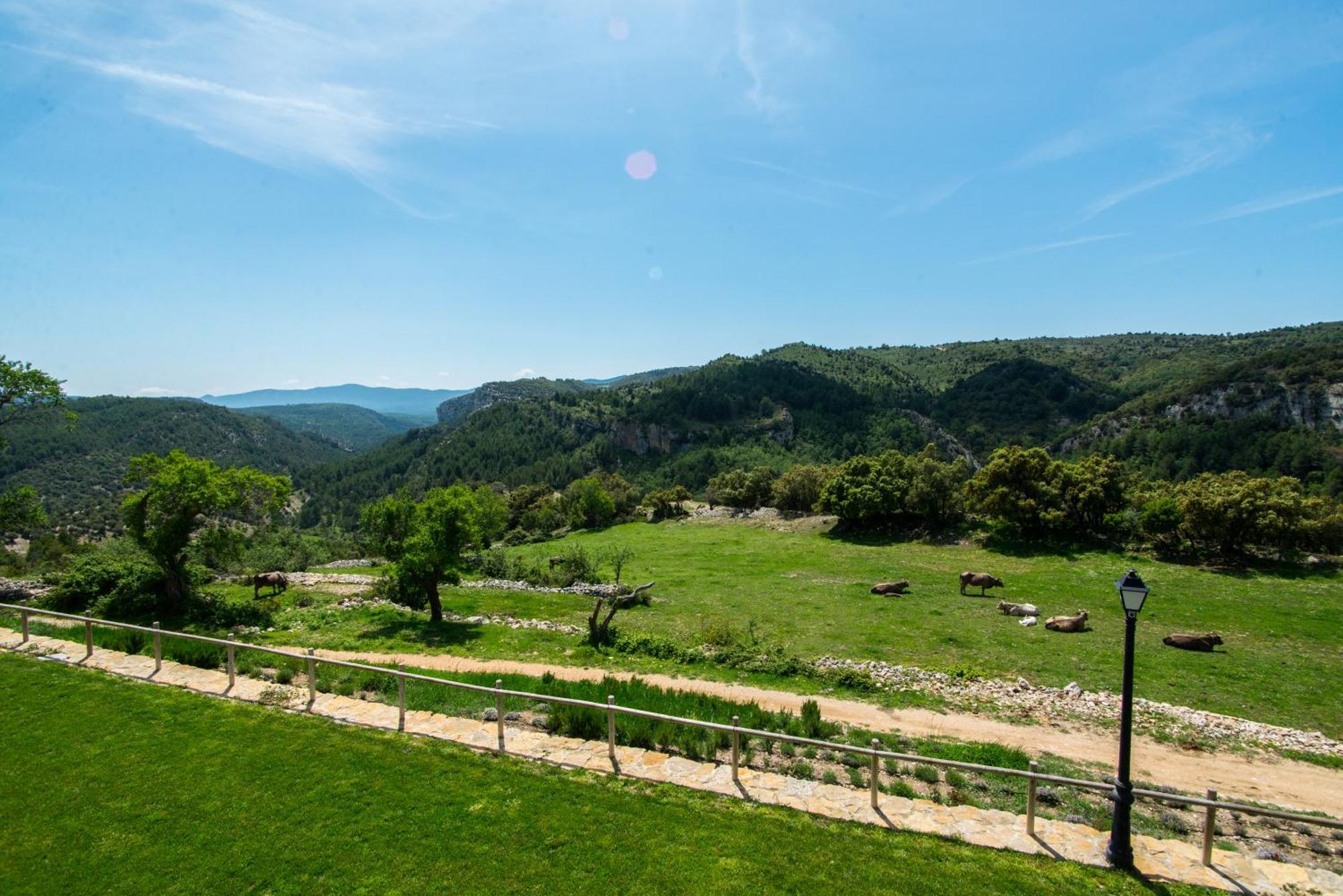 Font D'En Torres Solo Adultos Guest House Morella Bagian luar foto